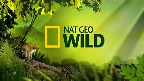 Nat Geo Animals