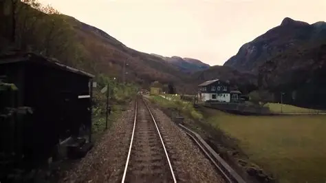 RailCowGirl
